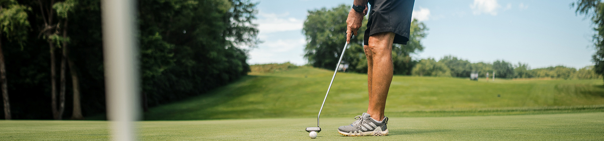 A golfer preparing to putt on a green, with a golf ball and putter in focus, surrounded by lush grass and trees.